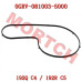 CFMoto Water Pump Seal Strip 0GRV-081003-5000 | CForce C4/C5 & GOES TERROX