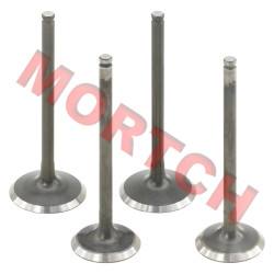 Intake / Exhaust Valve - Model MICF0GRV-02210A-5000
