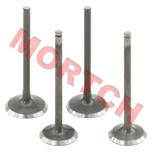 Intake / Exhaust Valve - Model MICF0GRV-02210A-5000