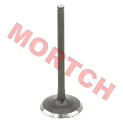 Intake Valve - Model MICF0GRV-022101-5000