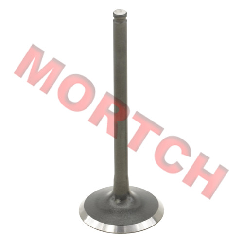 Intake Valve - Model MICF0GRV-022101-5000