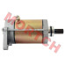 CF Moto starter motor, 0800-091000, CF800 starter, CF1000 starter, CForce 800 starter, CForce 1000 starter, ZForce 800 starter, ZForce 1000 starter, UForce 800 starter, UForce 1000 starter, Hisun 800 starter, 12V 650W starter, X8 Z8 U8 starter