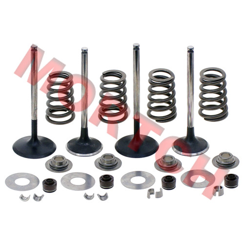 Intake & Exhaust Valve Assy - Model MICF0JYV-02200D-4000