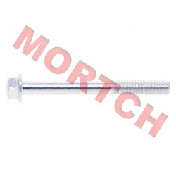 Bolt M6*55 - Model MICF0010-021018-0010