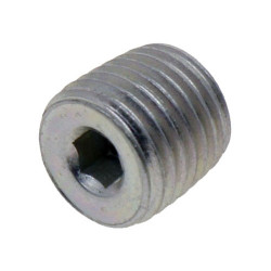 Screw Plug - Model MICF0800-011006-00001