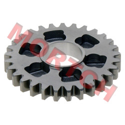Reverse Driven Gear - Model MICF0JWA-061008-10000