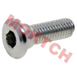 Screw for Brake Disc - Model MICFA000-080001 Screw for Brake Disc - Model MICFA000-080001