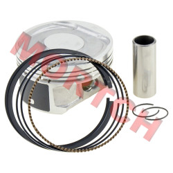 Piston Assy - Model MICF0JY0-0400B0