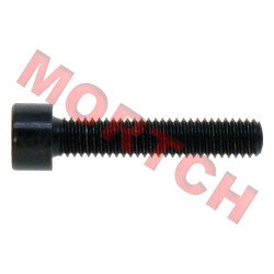 Inner Hex Screw M6x30 - Model MICF30102-060030870