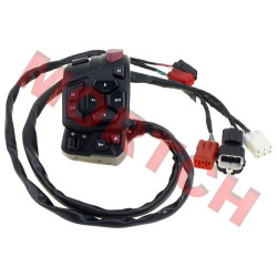 LH Handlebar Switch - Model MICF9AWV-166000-8402-10 LH Handlebar Switch - Model MICF9AWV-166000-8402-10