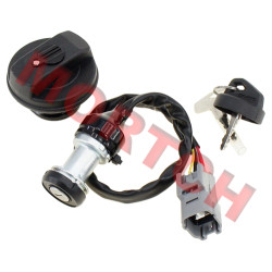 Switch Lock Assy - Model MICF5HYV-011000-1C01
