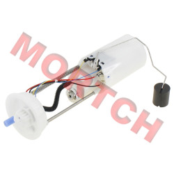 Fuel Pump - Model MICF5BWV-150900-5000