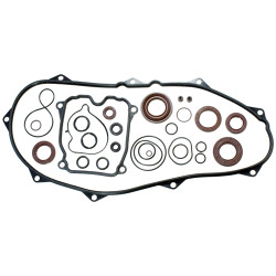 Oil Seal & O-Seal Ring Kit, Engine - Model MICF0JWA-0000A1