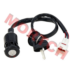 Ignition Switch Assy - Model MICF9RHV-169210-1004