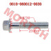 CFMoto M6x30 Bolt 0010-060012-0010 - Universal Engine Hardware 125cc-1000cc