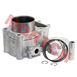 Cylinder Assy - Model MICF0180-6003