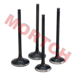 Inlet/Exhaust Valve - Model MICF0180-02200A