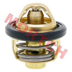 Thermostat - Model MICF0180-022810