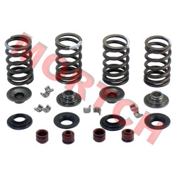 Valve Spring set - Model MICF0180-6029A