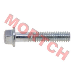 Bolt M6x30 - Model MICF0010-060012-0010 Bolt M6x30 - Model MICF0010-060012-0010