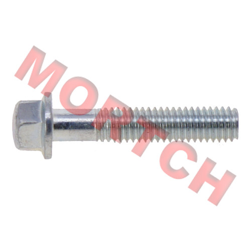 Bolt M6x30 - Model MICF0010-060012-0010