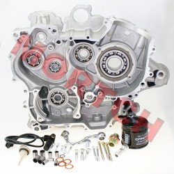 Left Crankcase - Model MICF0180-011000