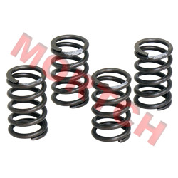 Valve Spring - Model MICF0180-022006-0050