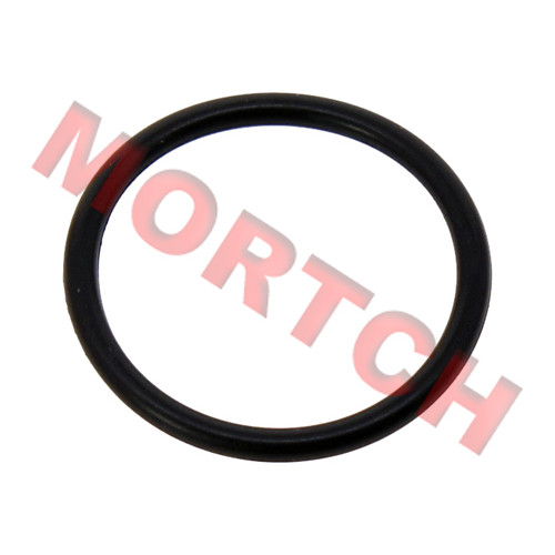 O-Ring 24x2.5 for Gear Position Sensor - Model MICF0180-023002
