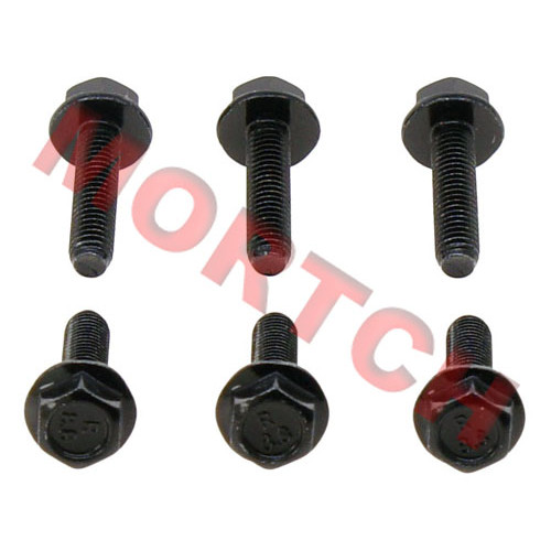Bolt M6*25 - Model MICF30006-060025870 Bolt M6*25 - Model MICF30006-060025870