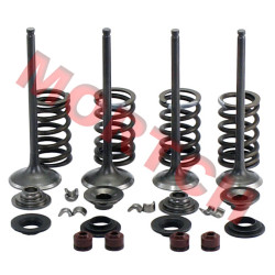 Inlet/Exhaust Valve Assy - Model MICF0180-6027