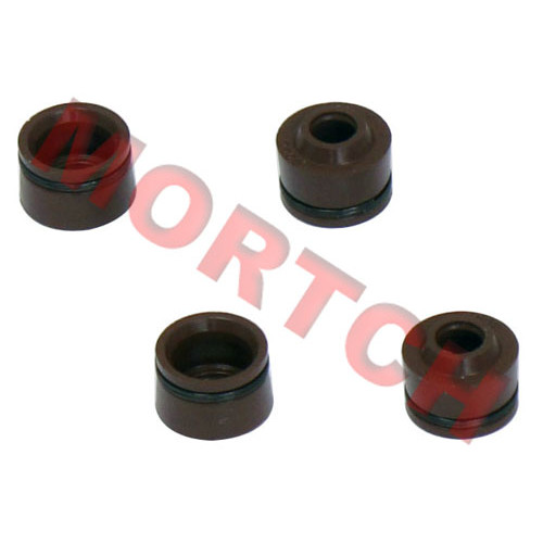 Valve Stem Seal Ring Set - Model MICF0010-022500-10000 Valve Stem Seal Ring Set - Model MICF0010-022500-10000