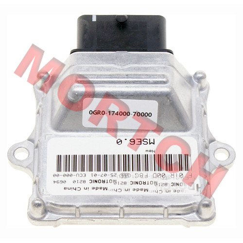ECU - Model MICF0GR0-174000-70000