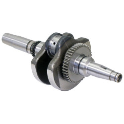 Crankshaft Comp - Model MICF0GQ0-041100-00022