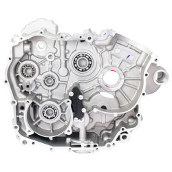 Left Crankcase Assy - Model MICF0GR0-011000