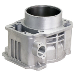 Cylinder Block - Model MICF0GR0-023100-20010