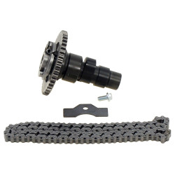 Camshaft Sub Assy - Model MICF0GR0-024000