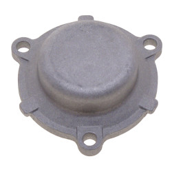 Left Crankcase Cover Plug - Model MICF0GRA-014001