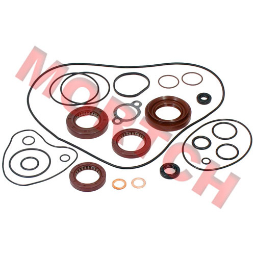 Oil Seal & O-Seal Ring Kit, Engine - Model MICF0GS0-0000A1
