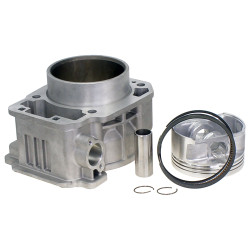 Cylinder Assy - Model MICF0GQ0-6003A