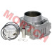 Complete cylinder assembly kit for 191Q engines. Includes cylinder body, piston, pin, rings, and circlips. Compatible with CFMoto CForce 400/450 ATVs. Part number 0GQ0-023100.