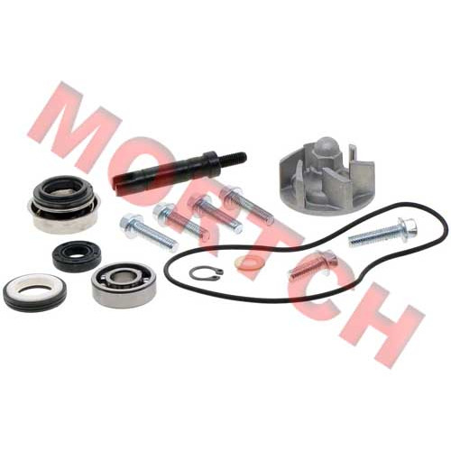 Water Pump Assy - Model MICF0GR0-080000