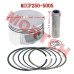 CF250 Water Cooled Piston Kit 72mm - Complete Piston Assembly