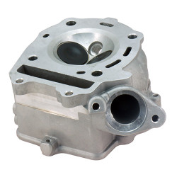 CF250 Cylinder Head - Model MICF250-5002V