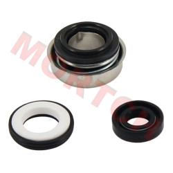 CF250 CH250 Water Pump Seal - Model MICF250-5069A