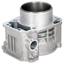 Cylinder Block - Model MICF0GS0-023100-10010
