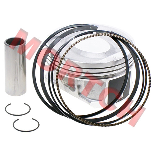 Piston Assy - Model MICF0GS0-0400B0-II