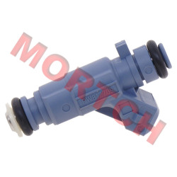 Injector - Model MICF0GS0-171000
