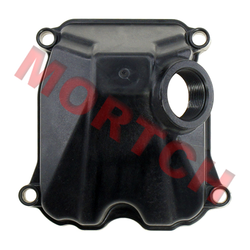 Cylinder Head Cover - Model MICF0GSV-021001-3000