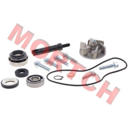 Water Pump Assy - Model MICF0GS0-080000