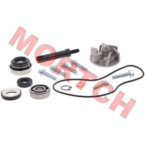 Water Pump Assy - Model MICF0GS0-080000